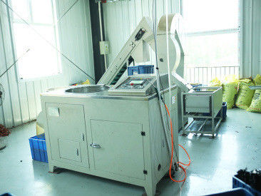 Xingtai Chengzhi Seals Co., Ltd. línea de producción del fabricante