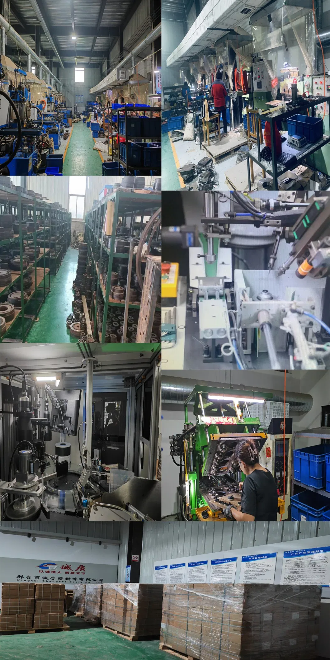 Sello de aceite de tipo O con resistencia al desgaste para fabricación mecánica 4