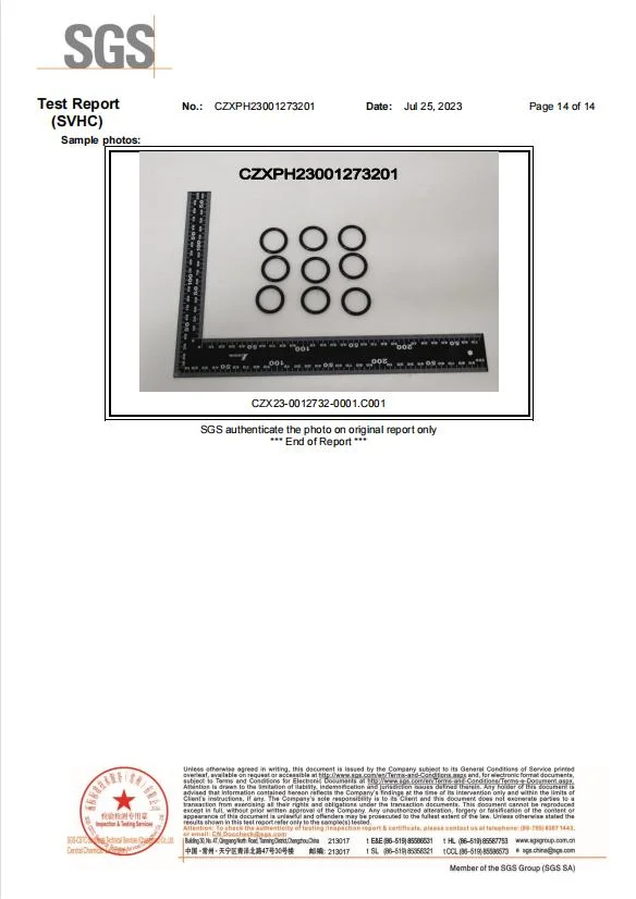 O-RING de silicona para la metalurgia del carbón y la petroquímica con servicio rápido y conveniente 6